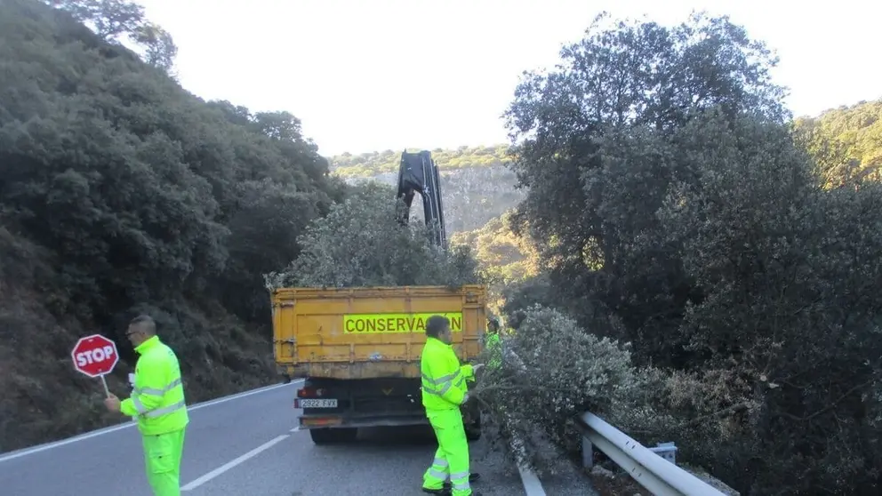 La Junta de Andaluc&iacute;a licita por 83 millones la conservaci&oacute;n de 3.500 kil&oacute;metros de carreteras