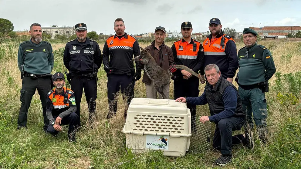 Canguro capturado por personal del Zoo de Jerez, Guardia Civil, Protecci&oacute;n Civil y Polic&iacute;a Local | CRISTO GARC&Iacute;A para El MIRA