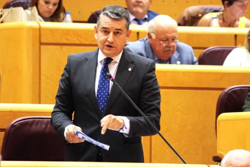 Antonio Sanz, durante su intervenci&oacute;n en el Parlamento