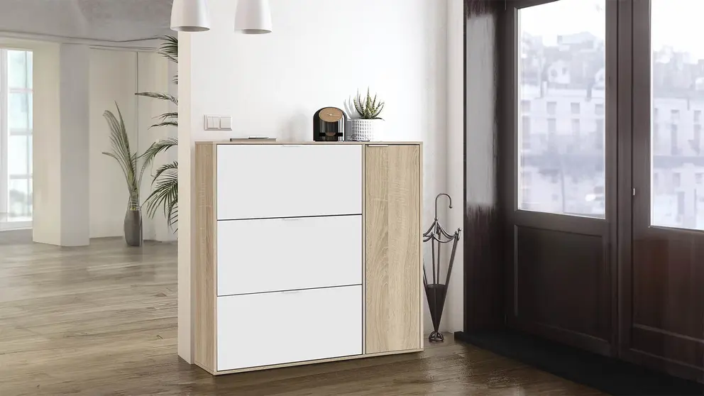Mueble Zapatero 4 Puertas Leo en Amazon
