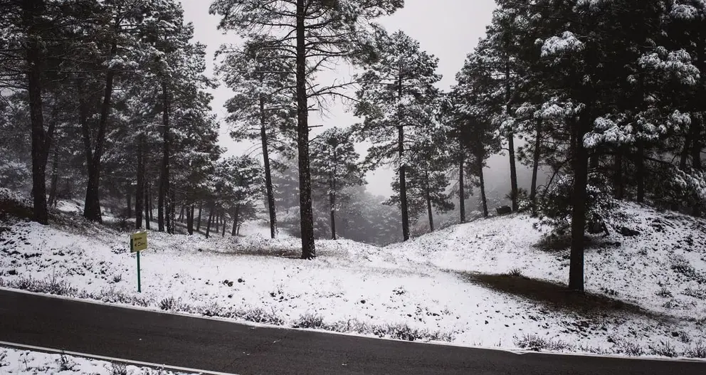 La nieve ha llegado hasta Grazalema
