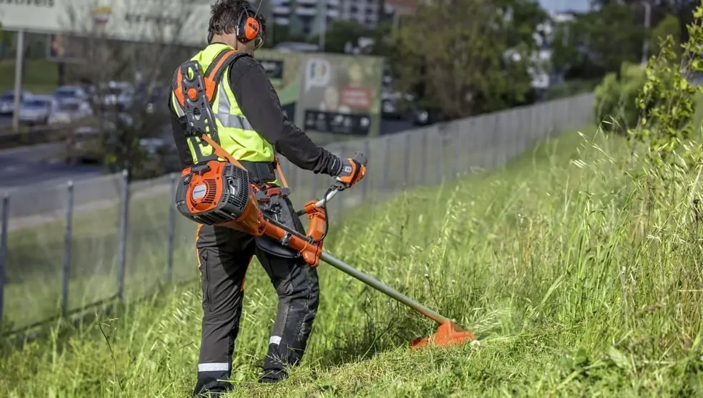Andaluc&iacute;a necesita jardineros en la actualidad