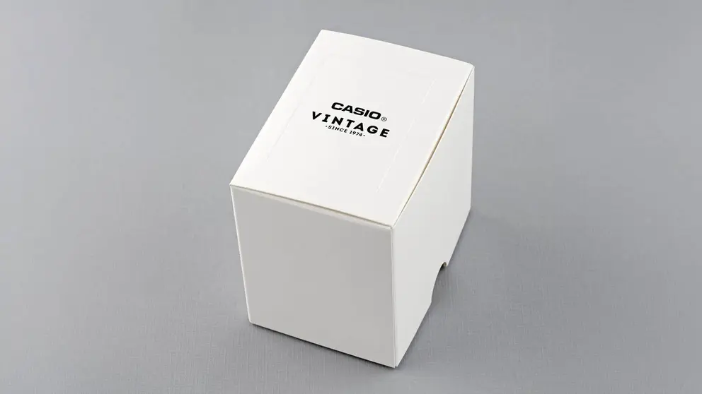 Caja de reloj CASIO vintage