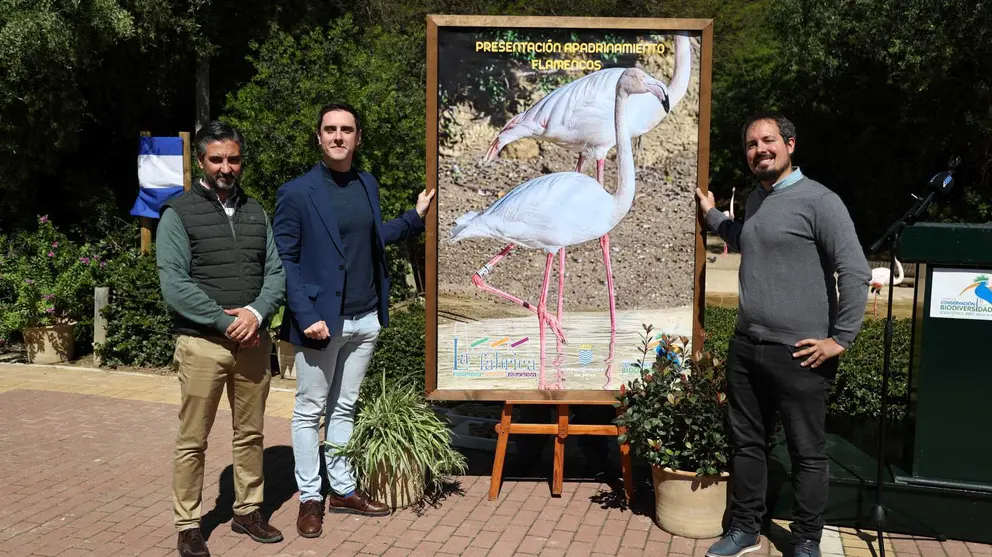 Apadrinamiento de los flamencos en el Zoobot&aacute;nico de Jerez | Cristo Garc&iacute;a