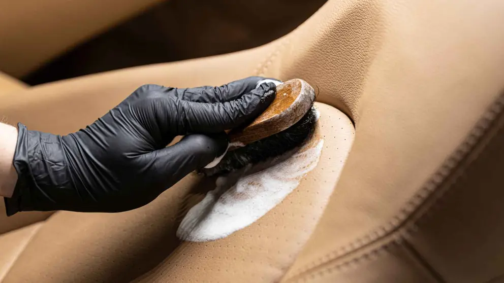 Limpiador de tapicer&iacute;a EMMA GR&Uuml;N en Amazon