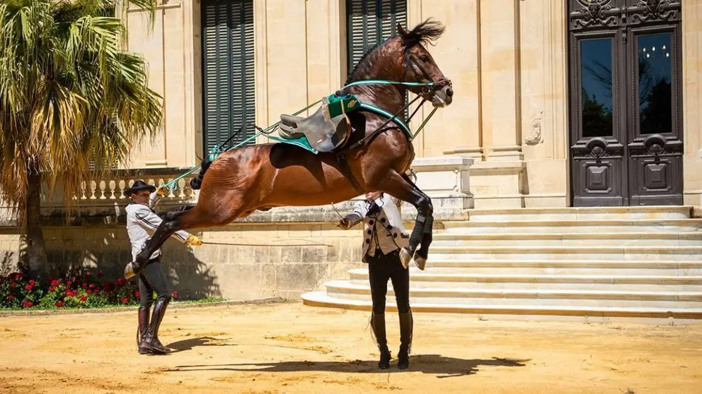 Real Escuela Andaluza del Arte Ecuestre