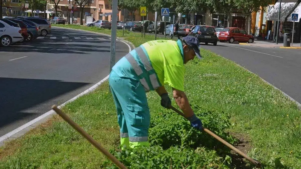 Una persona trabaja como jardinero