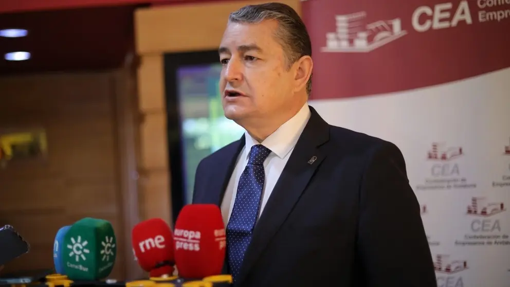 El consejero de la Presidencia Antonio Sanz ha defendido la labor de Carmen Crespo