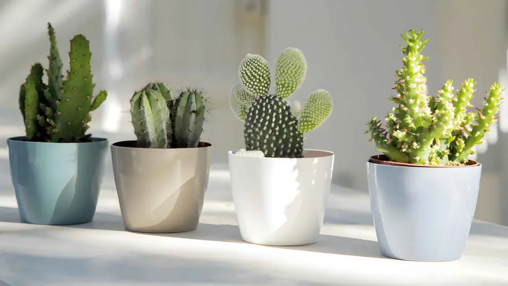 Maceta de polipropileno blanco SAN REMO de Leroy Merlin