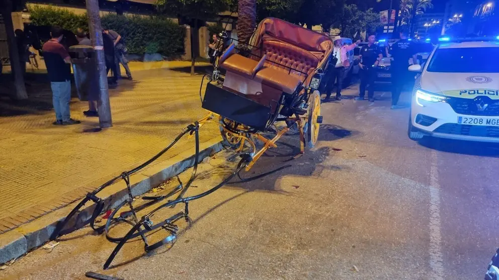 El caballo logr&oacute; soltarse del carruaje | Jes&uacute;s Catal&aacute;n