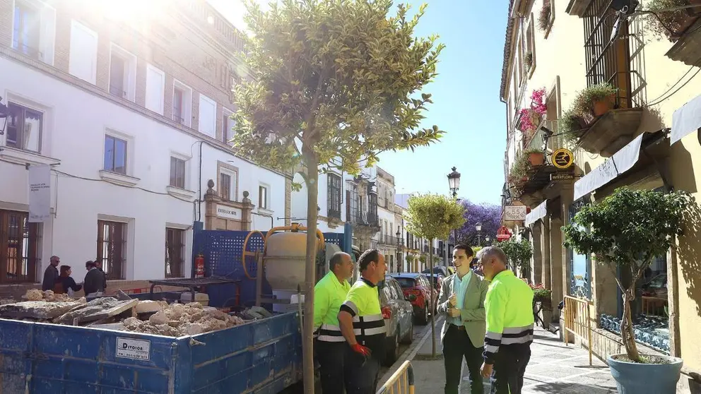 Plantaci&oacute;n de &aacute;rboles en la calle Porvera