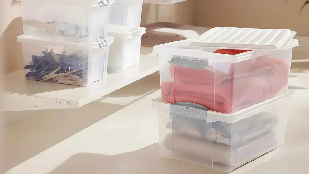 Cajas de ordenaci&oacute;n LIVARNO HOME de Lidl