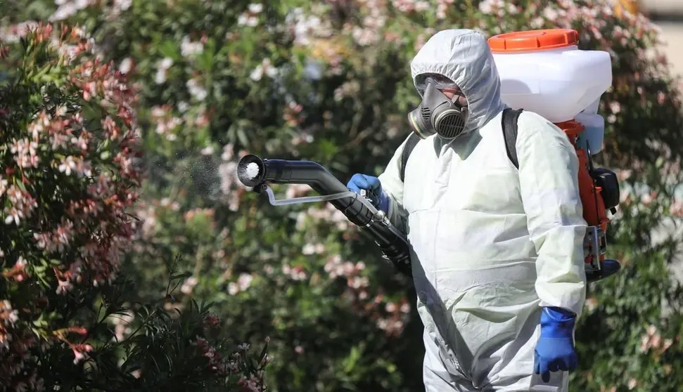 Un operario, durante los trabajos de fumigaci&oacute;n en C&aacute;diz