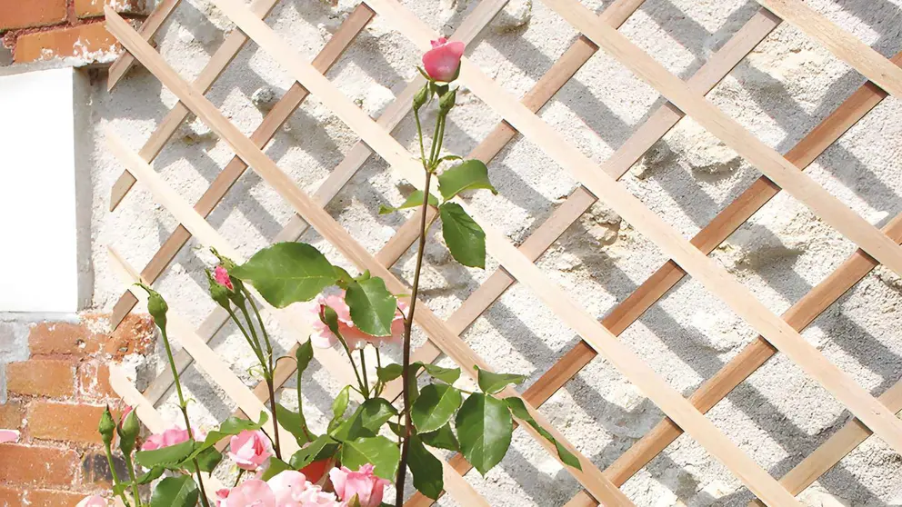 Celos&iacute;a extensible Trelliwood de Leroy Merlin