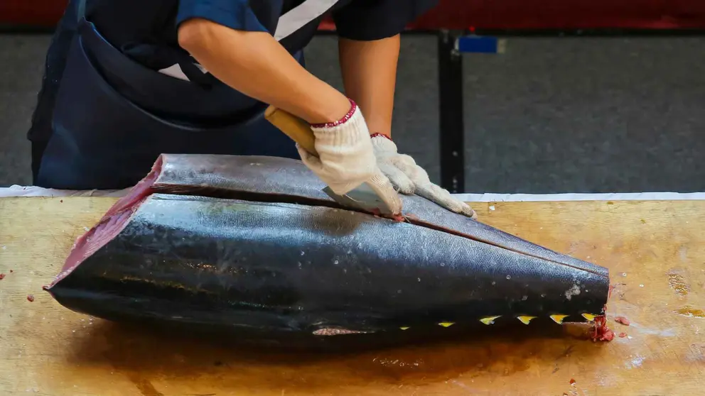 Ronqueo de un at&uacute;n