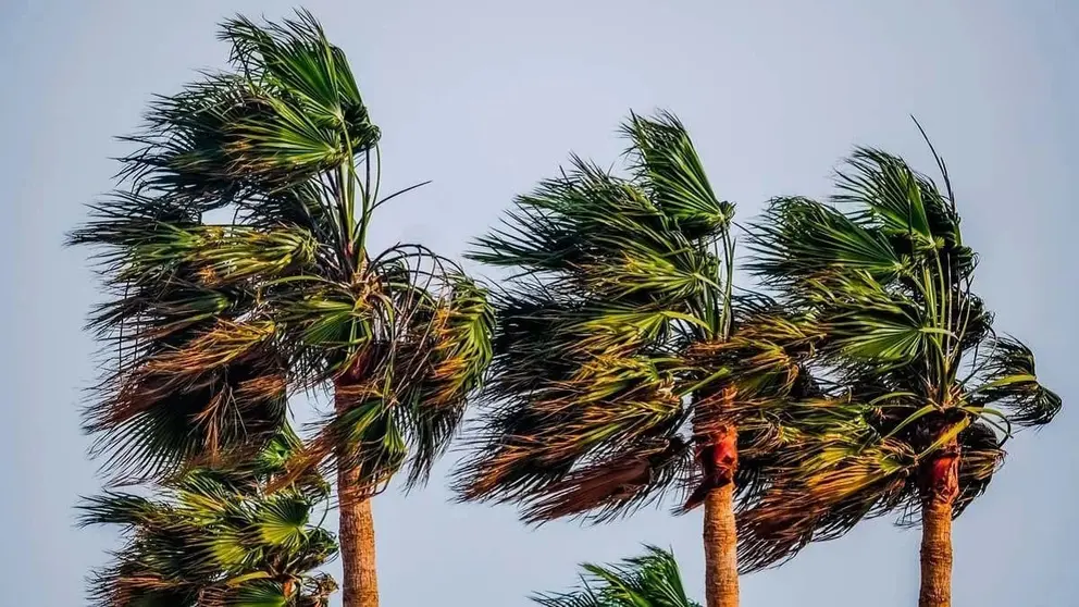 El viento ser&aacute; el gran protagonista en C&aacute;diz
