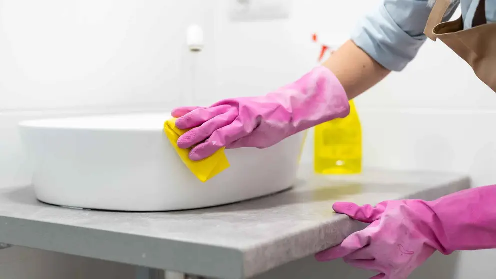 Vinagre de limpieza concentrado Bosque Verde de Mercadona