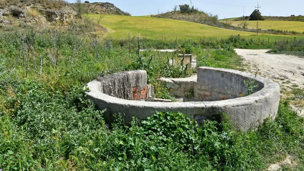 Suelos en Asta Regia