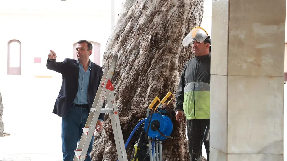 Bruno Garc&iacute;a, durante su visita al Baluarte de la Candelaria | Cristo Garc&iacute;a