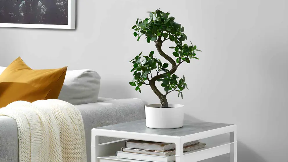 Planta artificial Bons&aacute;i FEJKA de Ikea