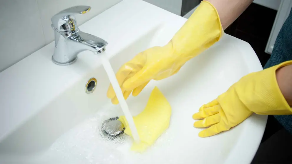 Limpiador Ba&ntilde;os Bosque Verde en gel de Mercadona