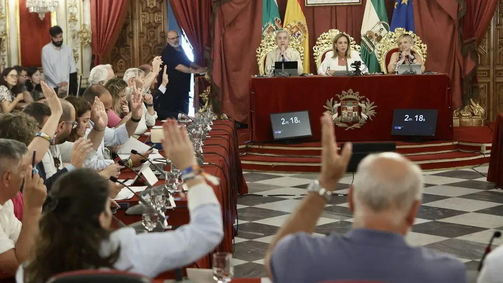 Almudena Mart&iacute;nez ha presidido el pleno de la Diputaci&oacute;n de C&aacute;diz