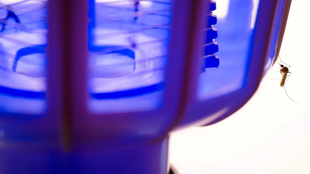 Antimosquitos y l&aacute;mpara Jata MIB9N de Decathlon