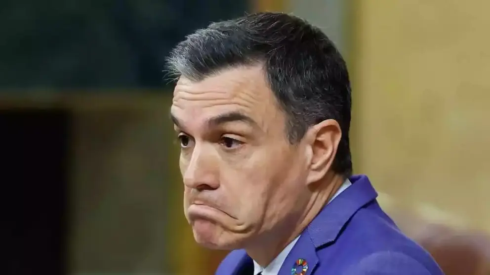 Pedro S&aacute;nchez