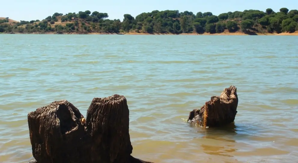 El pantano del Corumbel en La Palma del Condado (1)