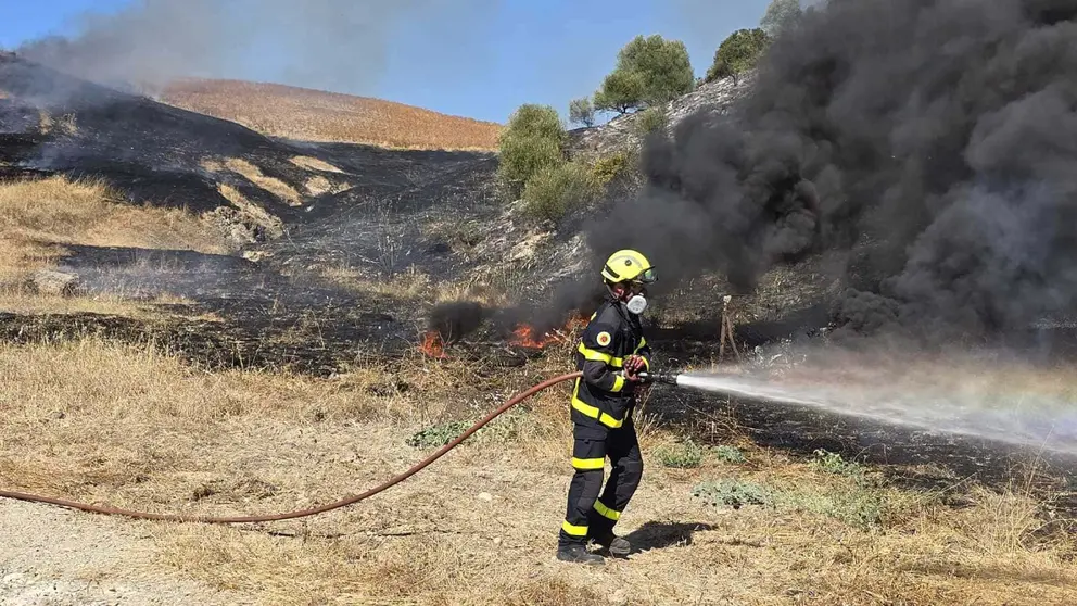 Bomberos de Jerez y El Puerto sofocaron el fuego | Cristo Garc&iacute;a