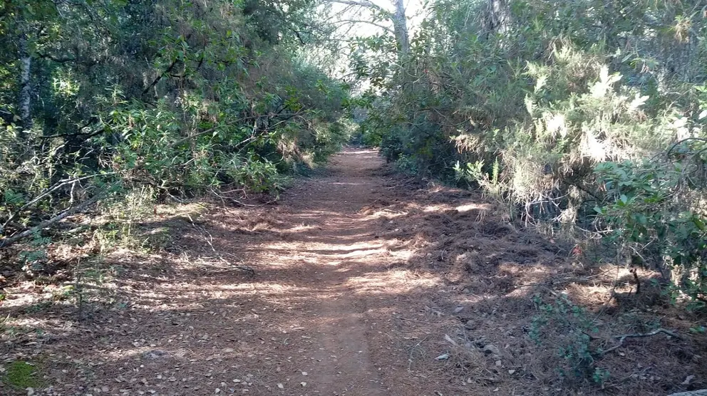 Imagen de uno de los caminos del Ba&ntilde;uelo