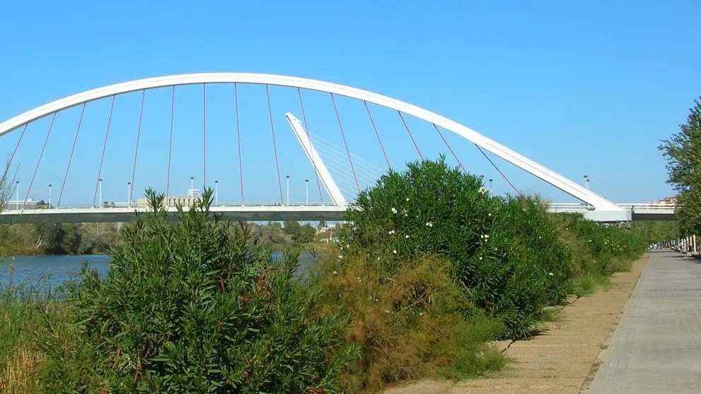 El puente de la Barqueta en Sevilla
