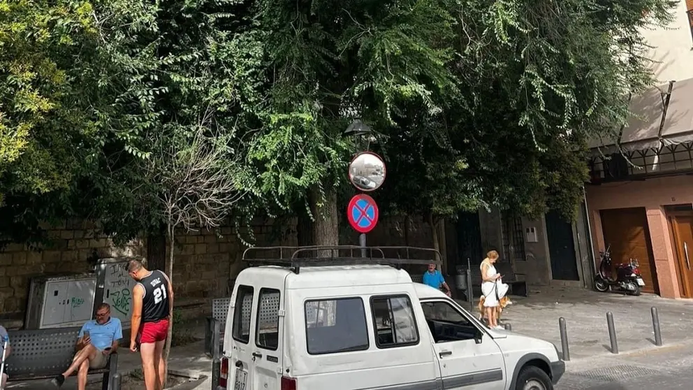 Imagen de un arb&oacute;l en Ja&eacute;n