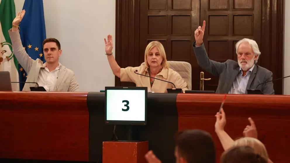Votaci&oacute;n en el Pleno del Ayuntamiento de Jerez | Cristo Garc&iacute;a