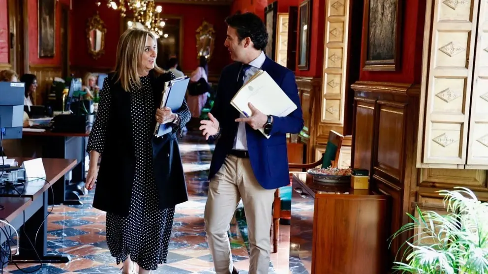 Marifr&aacute;n Carazo, en una imagen del pleno de julio