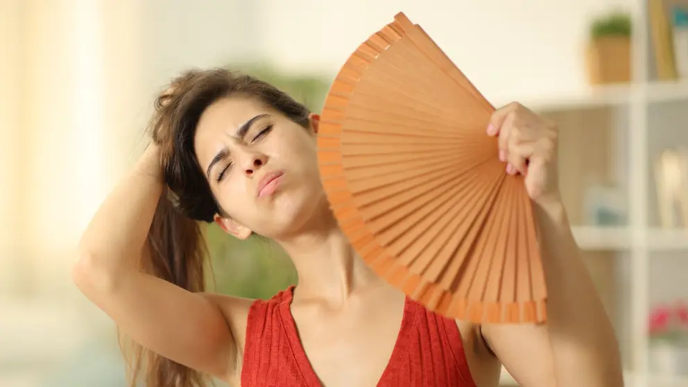 Calor en la vivienda