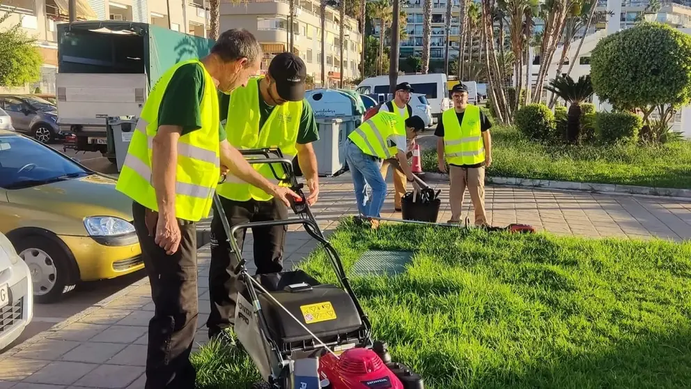 Andaluc&iacute;a se encuentra buscando jardineros en la actualidad