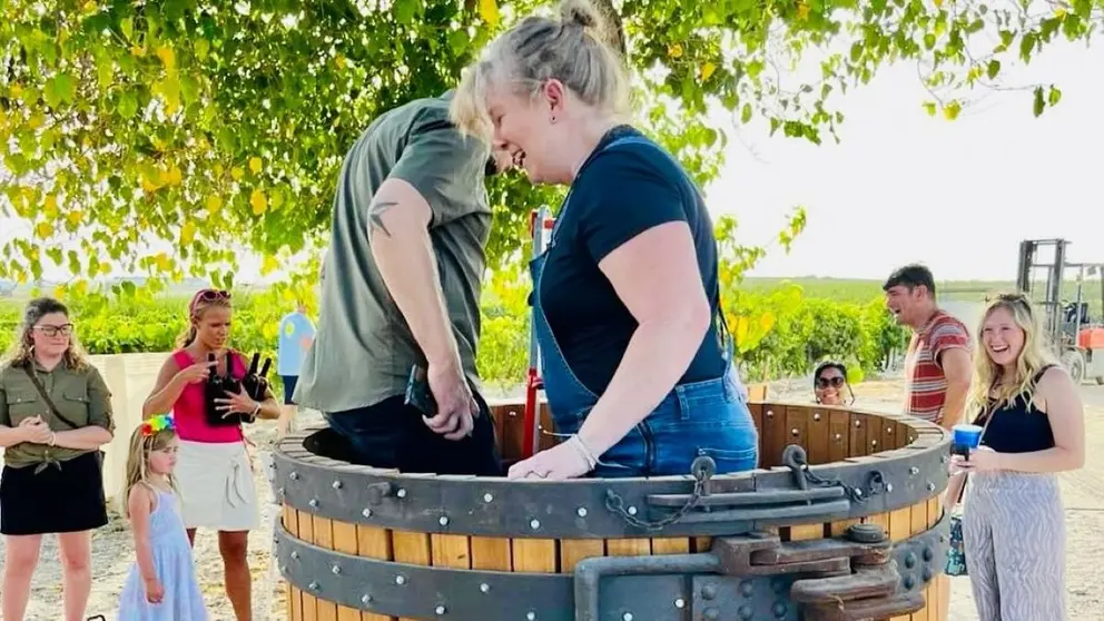 Vendimia en Vi&ntilde;a La Torre