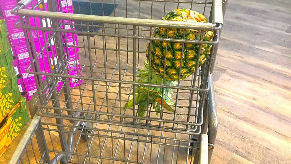 Pi&ntilde;a boacabajo en un carro de la compra