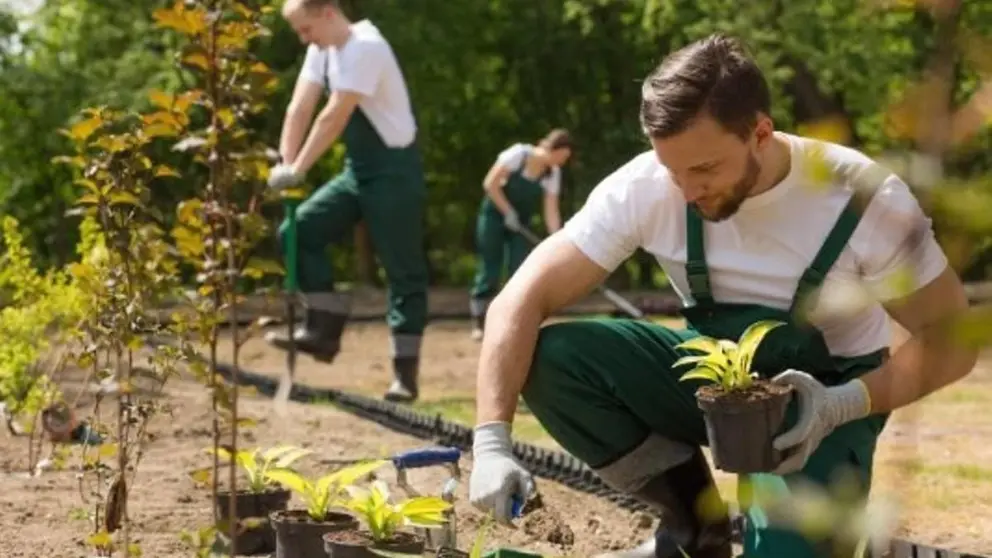 Andaluc&iacute;a necesita jardineros en la actualidad