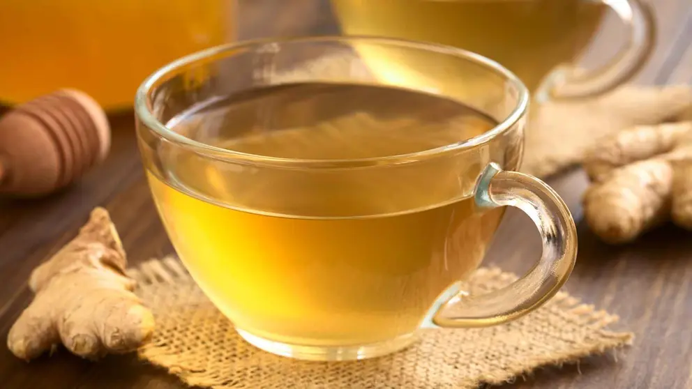 Infusi&oacute;n de jengibre Hacendado de Mercadona