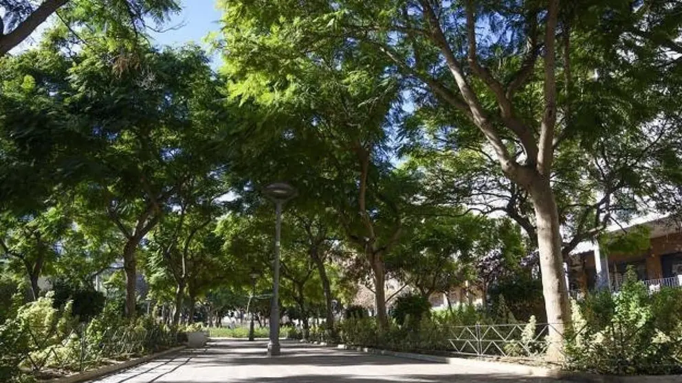 Zona de arbolado en Almer&iacute;a