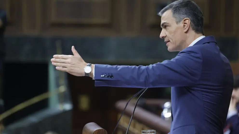 Pedro S&aacute;nchez, durante una intervenci&oacute;n en el Congreso de los Diputados