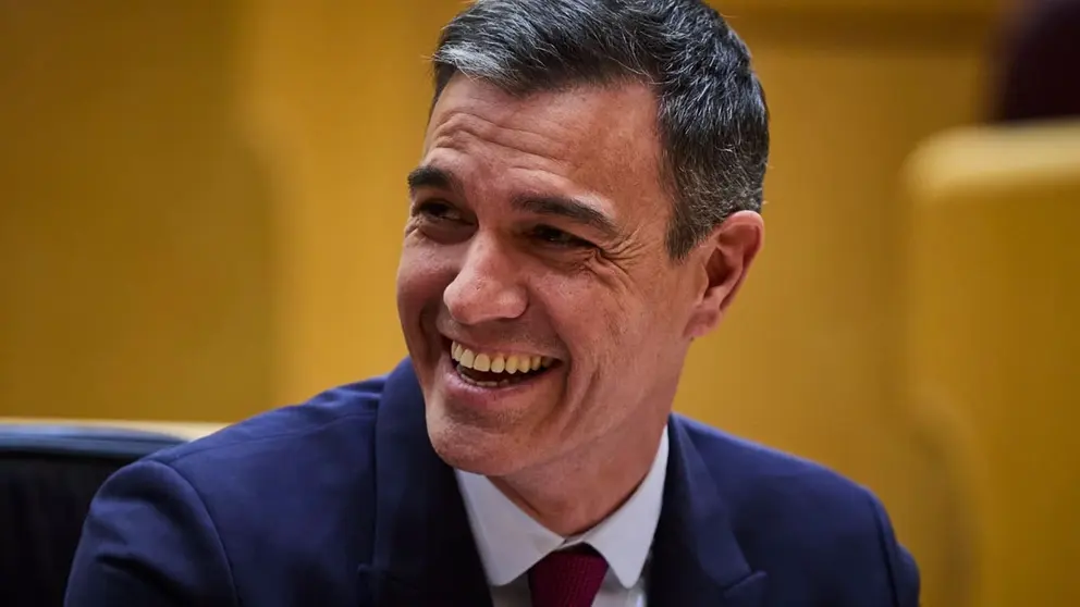 El presidente del Gobierno de Espa&ntilde;a Pedro S&aacute;nchez
