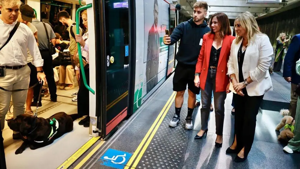 Los perros ya pueden subirse al Metro de Granada