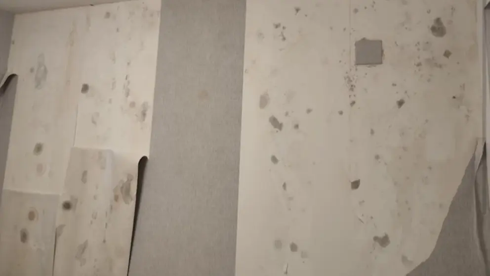 Humedades en la urbanizaci&oacute;n Ronda Norte de Jerez