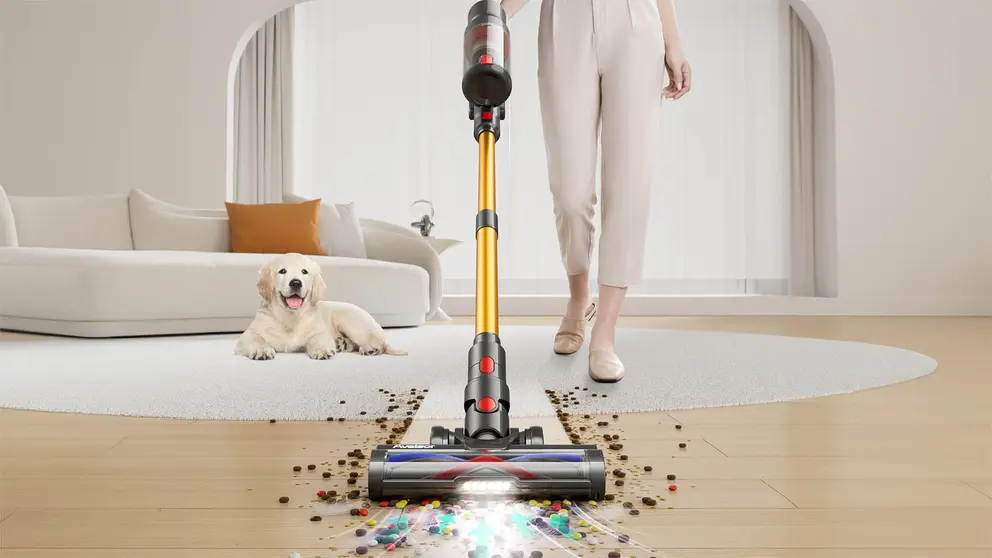 Aspiradora sin Cable Avalsor