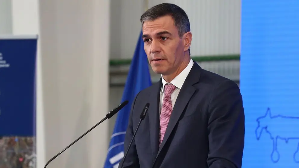 El presidente del Gobierno, Pedro S&aacute;nchez