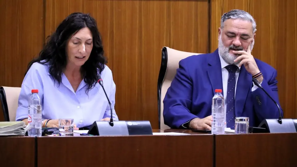 La consejera de Inclusi&oacute;n Social Loles L&oacute;pez