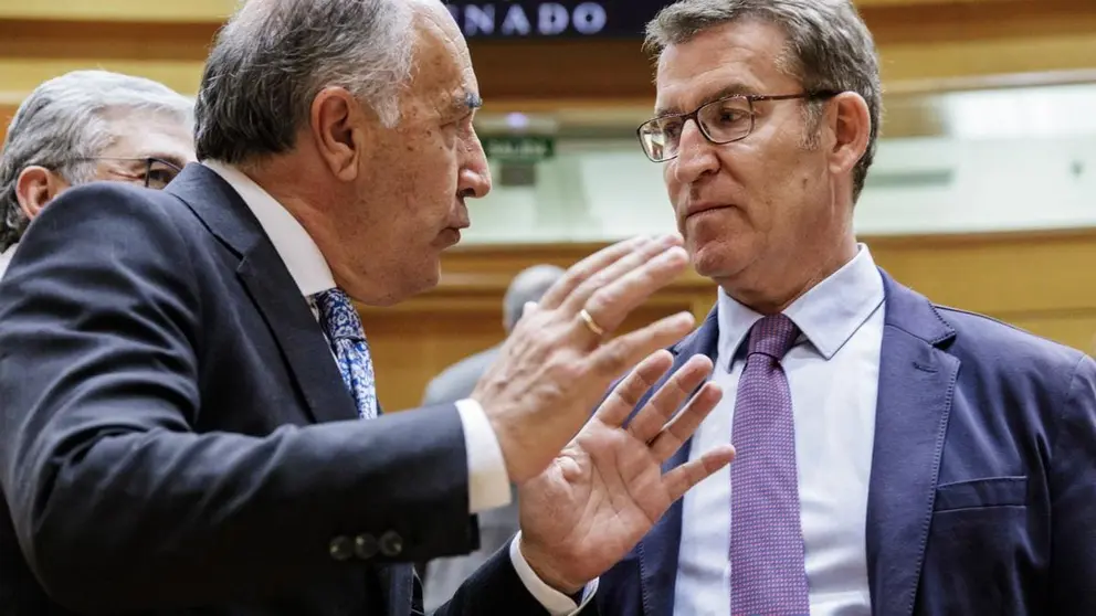 El senador del PP y alcalde de Algeciras, Jos&eacute; Ignacio Landaluce, con el l&iacute;der de su partido, Alberto N&uacute;&ntilde;ez Feij&oacute;o, en una imagen de archivo